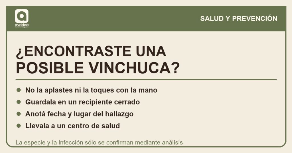 Recomendaciones ante el hallazgo de una posible vinchuca.