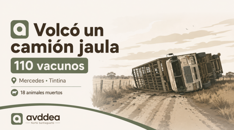 Vuelco de un camión jaula con 110 vacunos en Mercedes, jurisdicción de Tintina.